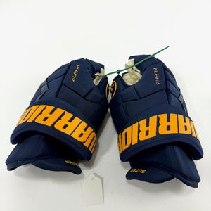 Used Navy STL Blues Warrior Alpha DX Pro Gloves | 14" | Suter | D161