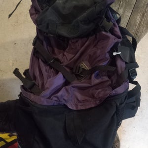 Wenzel 1887 Internal Frame Hiking Backpack (Used)