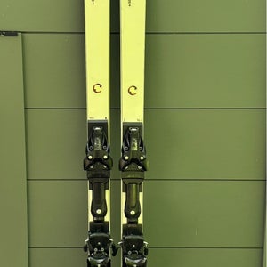 HEAD 207 cm e-SG RD Skis (Used, With Binding)