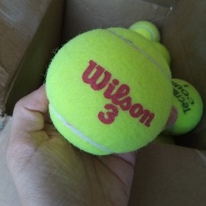Wilson Tennis Balls