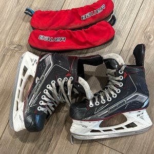 Bauer Vapor Hockey Skates Regular Width  Size 3.5 (Used)