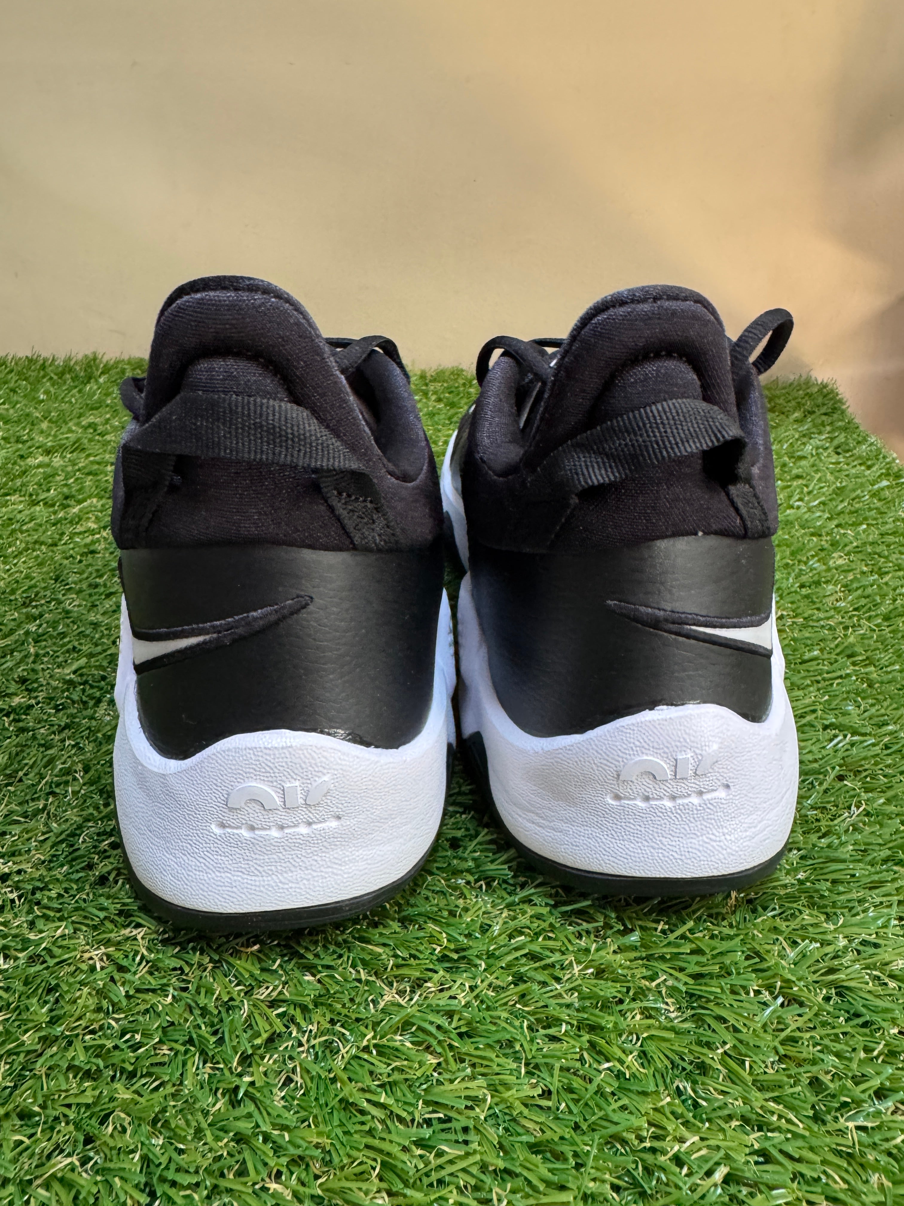 Nike Paul George PG 5 TB Team Basketball Shoes Black White  display picture 1