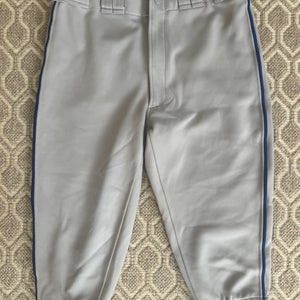 Gray Men's Medium Adult Mizuno Game Pants (Used)