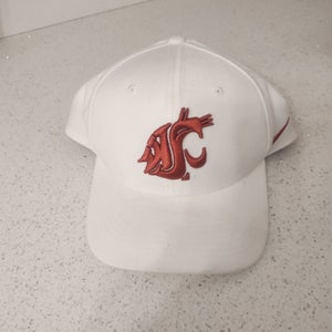 Washington State Nike Dri Fit Classic 99 Hat