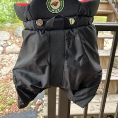 Youth Large CCM Hockey Pants (Used)