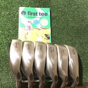 Callaway 2004 Big Bertha Irons Set (7-PW-GW-SW) Regular RCH 75i Graphite Shafts