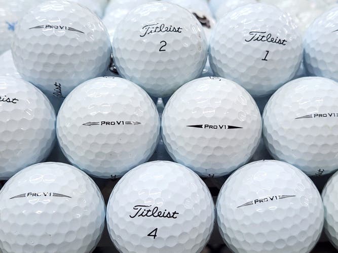 24 Near Mint AAAA Titleist Pro V1 Recycled-Used Golf Balls...Asst. Model Years