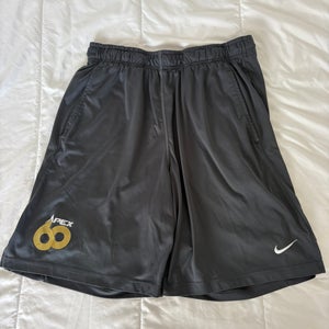 Apex 60 Large Men's Nike Shorts (Used)