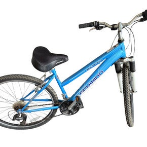 Schwinn (Used) Women's Bike