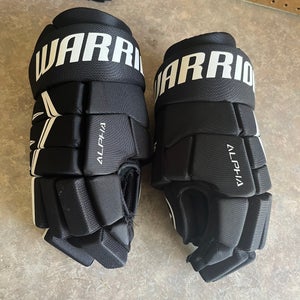 Warrior Alpha DX5 Gloves 15" (Used)