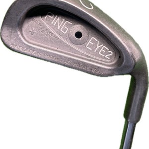 Ping Eye 2 + Black Dot 2 Iron KT-Shaft Stiff Flex Steel Shaft RH 39.5L