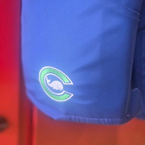 Senior Medium Warrior Custom Hockey Pants Pro Stock (New)