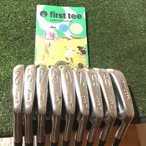 Ben Hogan Apex II Black Cameo Irons Set (2-PW) Regular Vector 3 Steel (-.25)