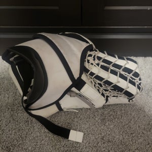 Brian's Iconik X Glove Regular (Used)