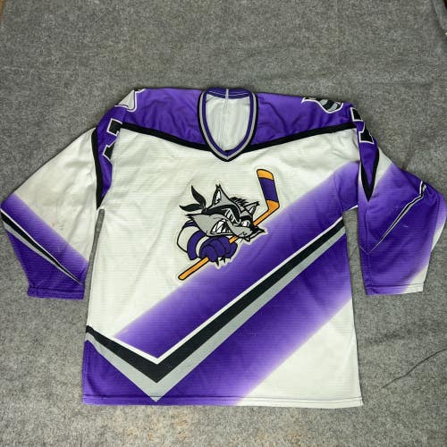 Baltimore Bandits Jersey Mens Large Purple White AHL Hockey 90s Defunct Minors