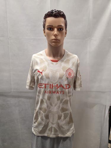NWT Manchester City Snow Putty Goalkeeper Jersey L Puma