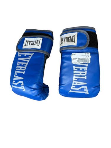 Used Everlast Heavy Bag Gloves Royal Blue LG 11833-S000164293
