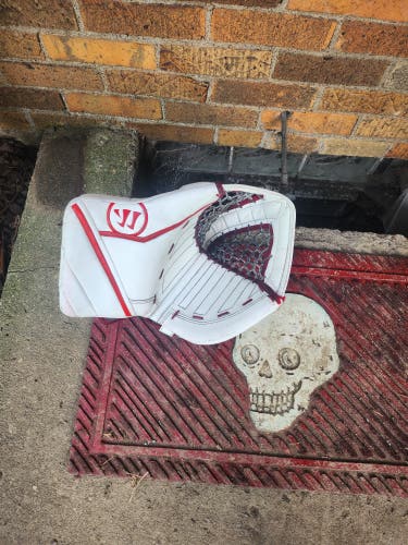 Sr. Warrior Ritual GT Goalie Glove and Blocker Pro Stock (Used)