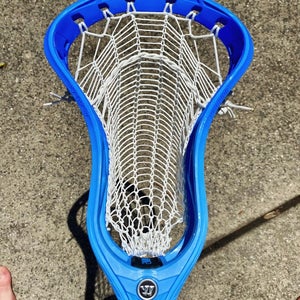 Warrior Evo Qx2 Pro Strung With Armor Mesh