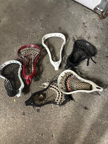 Multiple Lacrosse Heads