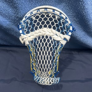 STX Strung Stallion 1K Head (New)