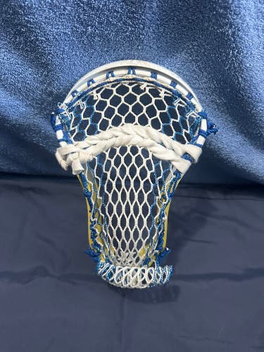STX Strung Stallion 1K Head (New)