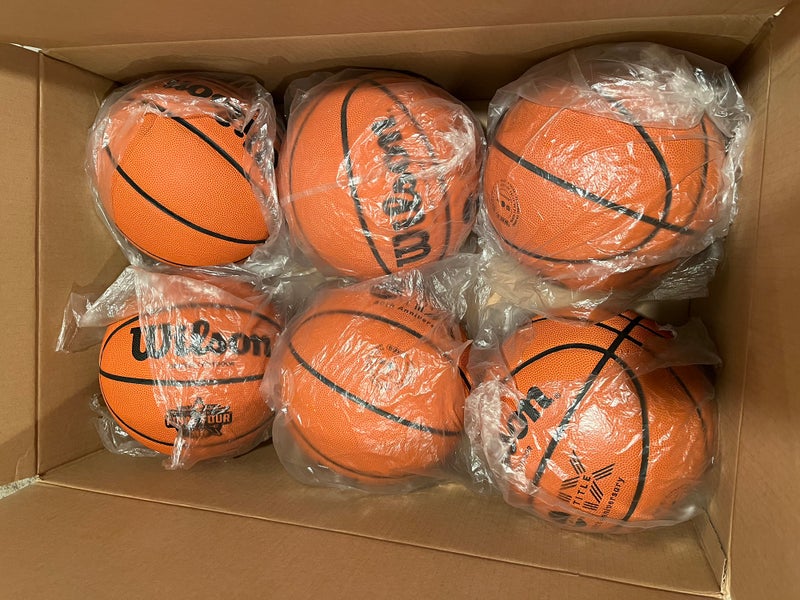 WILSON Indoor/Outdoor Recreation Balls-Case/6-NIB- Sz6/28.5 2023 WFF Logo