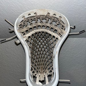 Powell Pioneer 2 Head (Used)