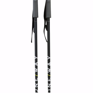 Fischer Junior Ski Pole (105cm)
