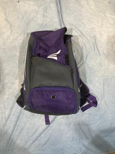 Purple Easton Game Ready Bat Pack (Used)
