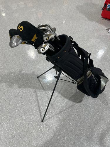 Men's Golden Bear Clubs (Full Set) Right Handed Regular Flex 12 Pieces (Used)