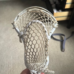 STX Strung Stallion 1K Head (Used)
