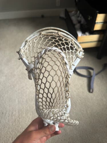 STX Strung Stallion 1K Head (Used)
