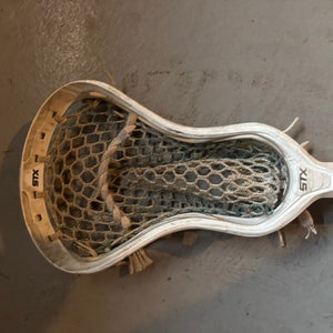 Adult STX Strung Stallion 1K Head (Used)