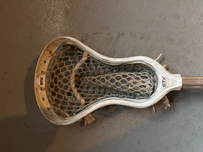 Adult STX Strung Stallion 1K Head (Used)