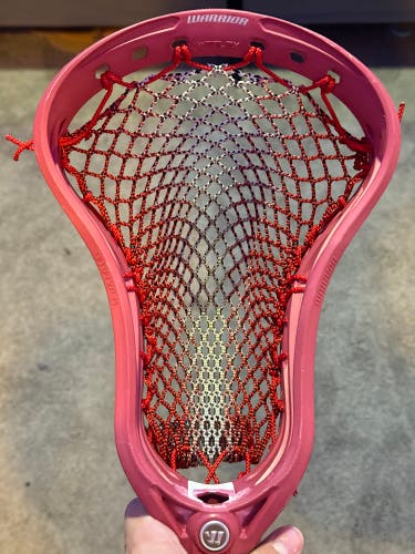 Pro Strung Warrior Burn XP-O Head (Used)