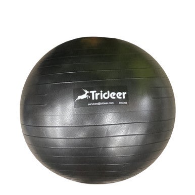 Used YOGA BALL Body/Fit Ball Black 55 cm 11760-S000078496