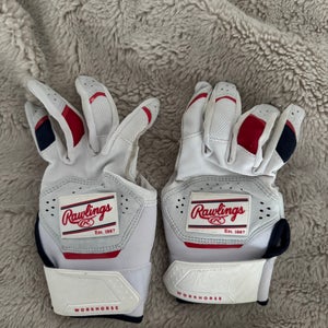 Youth Small Rawlings Workhorse Batting Gloves (Used)