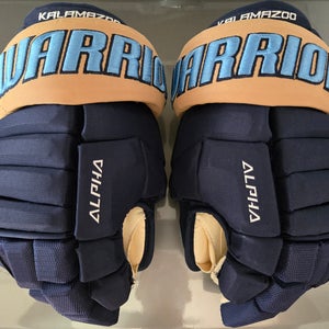 Warrior Gloves 13" (Used)