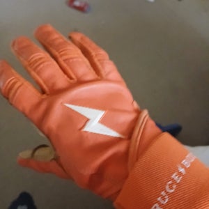 Batting Gloves (Used)