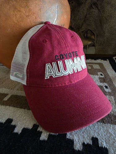 Arizona Coyotes Utah Hockey Club Pukka Inc Alumni Snapback Hat NEW