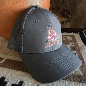 Arizona Coyotes Utah Hockey Club Fanatics AP Gray JJ Moser Kachina Snapback Hat