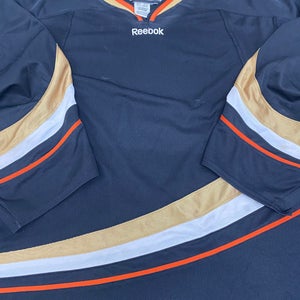 Anaheim Ducks colors goalie jersey
