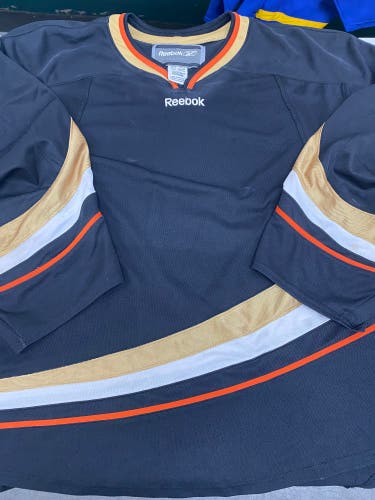 Anaheim Ducks colors goalie jersey