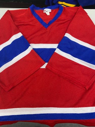 Montreal Canadiens colors goalie jersey