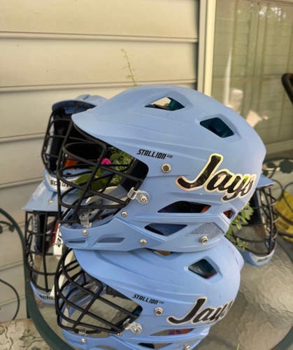 STX Stallion 650 Helmet (Used)