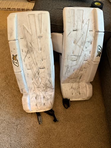 Brian’s 27+1 goalie Leg pads