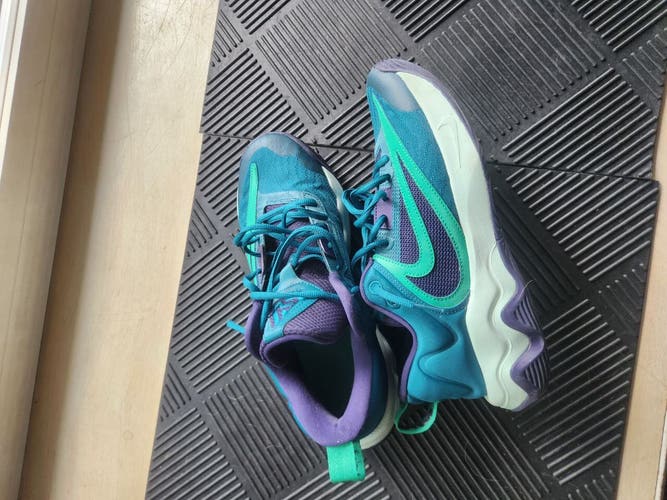 Men's Size M 10.0 (W 11.0) Nike Giannis Immortality 2 Shoes (Used)