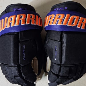 Warrior Franchise Gloves 14" (Used)