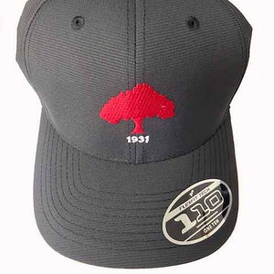 Callaway Rutherford 1931 Flexfit Hat (Black, Adjustable) 2022 Golf Cap NEW